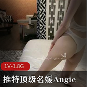 推特顶级身材美腿名媛（Angie）因琐事叫上闺蜜与两名男子互殴事件