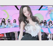 韩国女团T~衣舞舞蹈大片，1V-10.2G完整版，14位女主抖N子S舞震撼表演