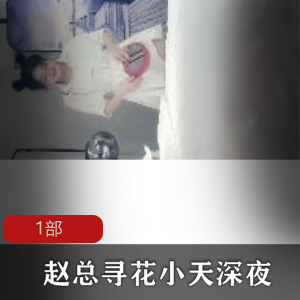 赵总寻花深夜肉肉身材美妇