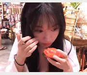 湾湾出品：苏畅大合集，16部作品一网打尽！