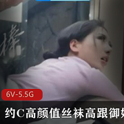 神秘大神十八寸铁棒C御姐对白精彩2小时视频