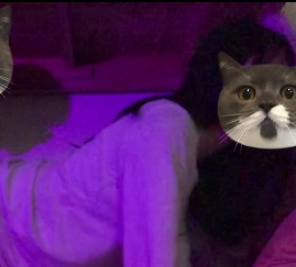 百合女大学生日常互动+带假棒子挑战传统[25v+1.86G][百度盘]