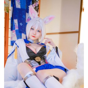 Arty亚缇cos作品大放送！59套7g，精彩收藏不容错过