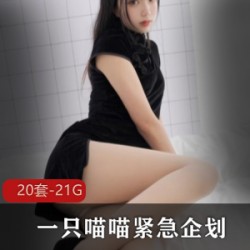 喵喵梓高颜值视频合集,20套21.1G,黑丝职业装清纯JK属性全收录!