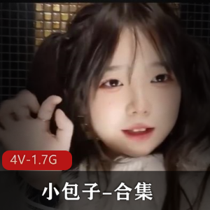推特大包小包合集4V1.7G劲爆自拍视频