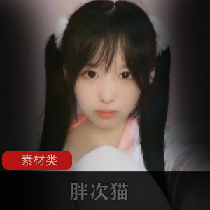 小奶猫胖次猫呐喊福利合集28V23.7G双马尾暴击